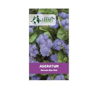 300 graines Agératum mexicain bleu - plante de massif et de bordure rocail - blue mink