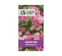 300 graines Agératum mexicain boule rose - plante de massif et de bordure rocail - pink - Agérate du Mexique