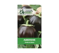 300 graines aubergine ronde de Valence - forte productivité