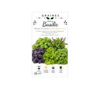 300 Graines Basilic en Mélange - Thaï, Citron, Pourpre, Genovese & Feuille de Laitue