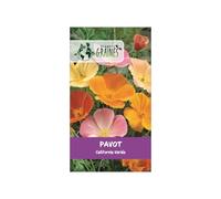 300 graines coquelicot de Californie simple varié fleur sauvage champêtre rouge et colorée.