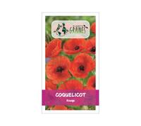 300 Graines Coquelicot Rouge - Pavot des Moissons - 60 cm et plus