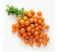 300 Graines de Carotte Parisienne - SemiSauvage Permaculture