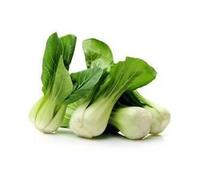 300 Graines de Chou Chinois Pak Choï - légumes ancien potager - méthode BIO