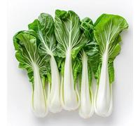 300 Graines de Chou Chinois Pak Choï - SemiSauvage Permaculture