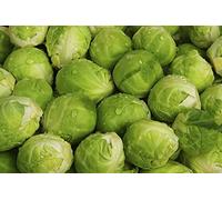 300 Graines de Chou de Bruxelles Sanda - légumes jardin potager - semences paysannes reproductibles - SemiSauvage