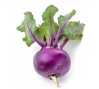 300 Graines de Chou Rave Delicatess Violet - SemiSauvage Permaculture