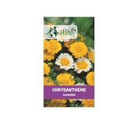 300 Graines de Chrysanthème Comestible (Shungiku) - Feuilles et Fleurs Tendres, Saveur Poivrée - Idéal en Salade et Wok - Facile à Cultiver