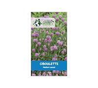 300 Graines de Ciboulette Chives medium : Une Herbe Aromatique Facile à Cultiver