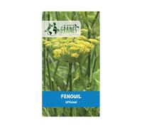 300 graines de Fenouil officinale - Herbe Aromatique