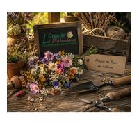 300 graines de Fleurs à semer - Le Grenier d'Abondance - PRAIRIE de Fleurs - En mélange