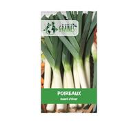 300 graines de Poireau Géant hiver - robuste