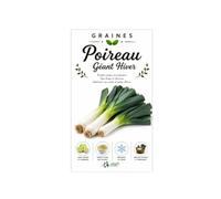 300 graines de Poireau Géant hiver - robuste - Variété Rustique et Très Productive pour Récoltes d'Hiver