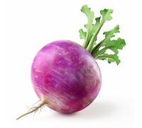 300 Graines de Radis Rond Violet - SemiSauvage Permaculture