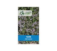 300 Graines de Thym d'Été - Variété Aromatique et Parfumé - Idéal Cuisine, Mellifère et très Résistant à la Sécheresse