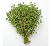 300 Graines de Thym - SemiSauvage Permaculture