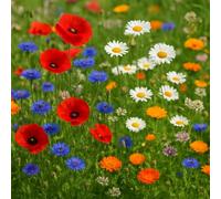 300 graines Fleurs à semer - Le Grenier d'Abondance - DOUCE FRANCE - Mélange de Fleurs