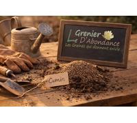 300 graines graines d'Aromatiques à semer - Le Grenier d'Abondance - CUMIN - Cuminum cyminum