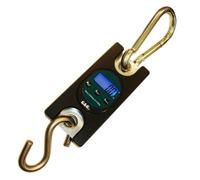 300 kg/100g OCS suspendu de 40 Grue Balance Balance Charge G & G