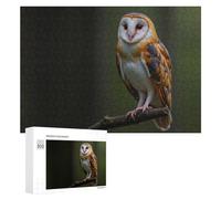 300 PCS Puzzle pour Adolescents Barn Owl with Orange and Black Feathers Jeu De Puzzle pour Adultes, Casse-tête, Cadeau d'anniversaire, Défi Éducatif 300 PCS