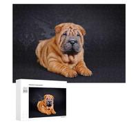 300 PCS Puzzle pour Adolescents Chinese Shar Pei Jeu De Puzzle pour Adultes, Casse-tête, Cadeau d'anniversaire, Défi Éducatif 300 PCS