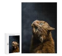 300 PCS Puzzles Curious Ginger Cat Puzzles pour Adultes Jeux Amusants Décoration Parfaite Cadeaux Uniques pour Anniversaire Et Noël 300 PCS