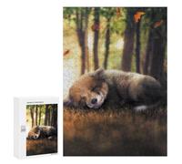 300 PCS Puzzles pour Adolescents The Sleeping Fox Cub Puzzles pour Adultes Et Familles : Les Jeux Améliorent La Mémoire Et Stimulent Le Cerveau