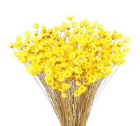300 Pièces Fleurs Séchées Brésiliennes Mini Bouquet Fleurs Séchées Jaune Daisy Gypsophile Naturelles Étoile Séchée Petit Arrangement de Marguerites Camomille Mariage Bricolage Fête à Décoration