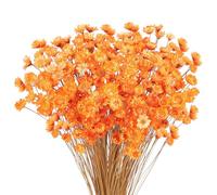 300 Pièces Fleurs Séchées Brésiliennes Mini Bouquet Fleurs Séchées Orange Daisy Gypsophile Naturelles Étoile Séchée Petit Arrangement de Marguerites Camomille Mariage Bricolage Fête à Décoration