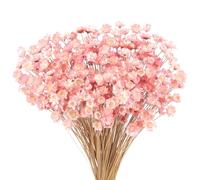 300 Pièces Fleurs Séchées Brésiliennes Mini Bouquet Fleurs Séchées Rose Pâle Daisy Gypsophile Naturelles Étoile Séchée Petit Arrangement de Marguerites Camomille Mariage Bricolage Fête à Décoration