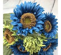 300 Pièces Graines de Tournesol, Graine de Fleurs Tournesol à Planter, Graine Fleurs à Semer, Semences de Tournesols pour Jardin et Balcon, Haute Germination, Facile à Cultiver (Bleu)