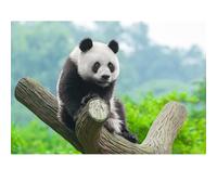 300 Puzzles pour Adultes, Panda Puzzles, pour Les Jeux de Famille et Les peintures décoratives murales.