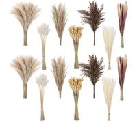 300-teiliges Bouquet aus getrocknetem Pampasgras, natürlichem Eukalyptus und Hasenschwanzgras, Boho-Deko für Zuhause, Ideal für Hochzeit, Tisch, Wohnzimmer und Innenraum-Inszenierung
