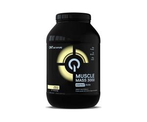 3000 Masse muscula 1300g Vanille QNT Gainers - Prise de Masse