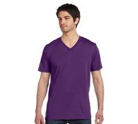 3005 CN 3005 ADLT 4.3OZ RS CTTN VNK TEAM PURPLE L