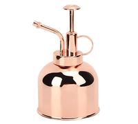 300ml Vaporisateur d'Arrosage pour Plantes, Arrosoir Vintage en Acier Inoxydable Métal avec Pompe Supérieure pour Arroser de Petites Plantes de la Maison, Bureau(Or Rose)