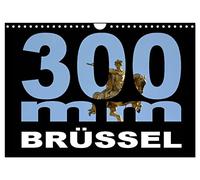 300mm - Brüssel (Wandkalender 2026 DIN A4 quer), CALVENDO Monatskalender: Brüssel durch das 300mm Tele-Objektiv gesehen