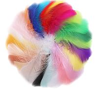 300Pcs Plumes Colorées Plume Decoration Plumes d'Oie Naturelles Plume pour Loisirs Créatifs d'Indien pour Attrape-Rêves Boucles d'Oreilles Fête Mariage Festival Décoration de Fête Prénatale,7-12cm