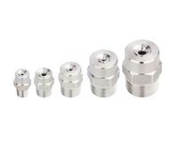 304 en acier inoxydable grand angle tourbillonnage axial coup de cône complet pointe de pulvérisation 1/8 ”, 1/4”, 3/8 ”, 1/2” mâle BSP 1/4 2.6mm (0.102 inches) 5 pièces