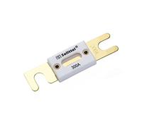 30A 40A 50A 60A 70A 80A100A 125A 150A 175A 200A 225A 250A 275A 300A 350A 400A 450A 500A 80V fusible de lame de voiture automatique Câblage de protection (Color : 150a, Size : ANL-C)