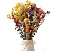 30Pièces Fleurs Séchées Couleurs Riches Bouquet Fleurs Séchées Plantes Séchées Décoratives Maison Arrangement pour DIY Floraux Vases Chambre Bureau