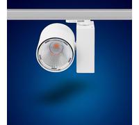 30W K20W blanc chaud LED projecteurs à 3 phases pour le système de rail