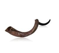 31"- 35" Origine Yéménite Shofar Casher Poli Qualité Israël Fait Naturel