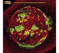 311 (Three Eleven) - From Chaos