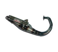 31607E Silencieux Pot D'Échappement Giannelli Reverse Aprilia Sr 50 Ditech 2000