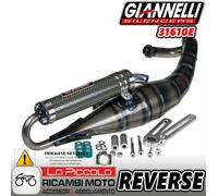 31610E Silencieux Giannelli Homologué Pot D'Échappement Reverse Piaggio NRG MC2