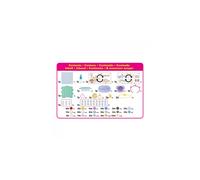 31766 aquabeads rose