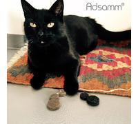 324 X Felt Gliders / Grey / Diameter 10 Mm / Round / 1.5 Mm Thick / Self-Adhesive Gliders Of Optimal Quality