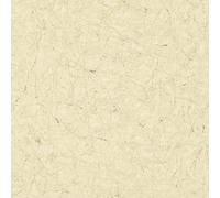 32802 - Le Nouveau Textures Craquelé Texture Beige Galerie Papier Peint