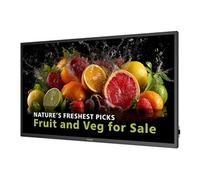 Philips 32BDL5050D - 32" - 5000 Series écran LCD rétro-éclairé par LED - signalisation numérique - Android - 1080p 1920 x 1080